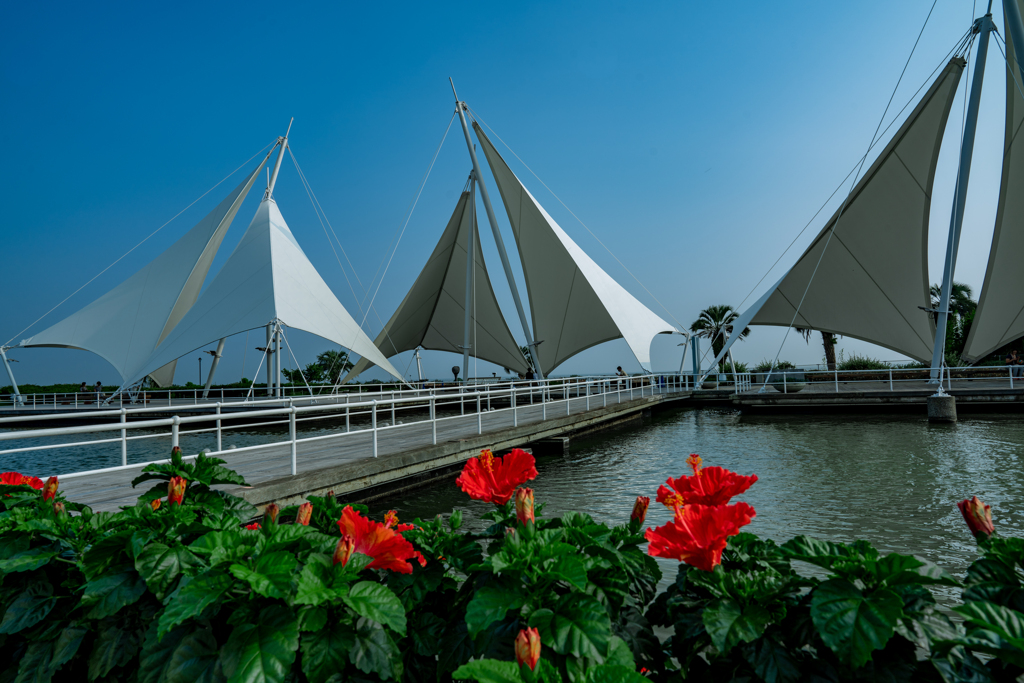 葛西臨海水族園