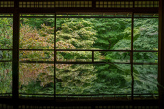 京都　瑠璃光院
