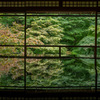 京都　瑠璃光院