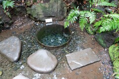 清正井