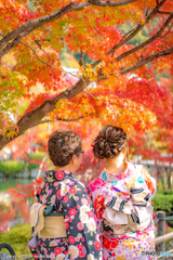 秋の紅葉と写真を撮る親子たち