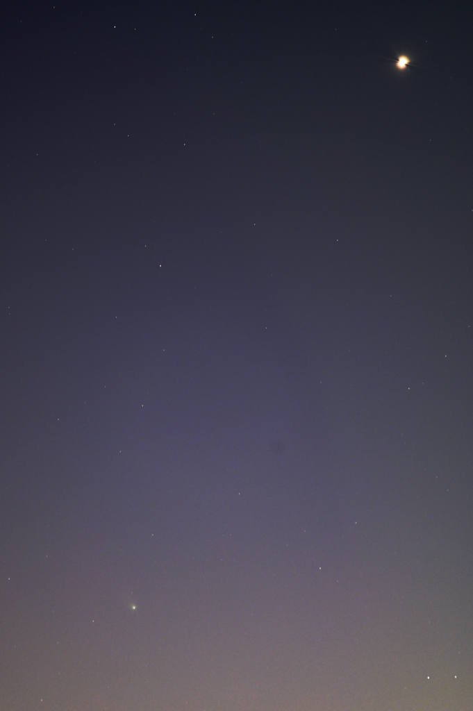 夕方のレナード彗星