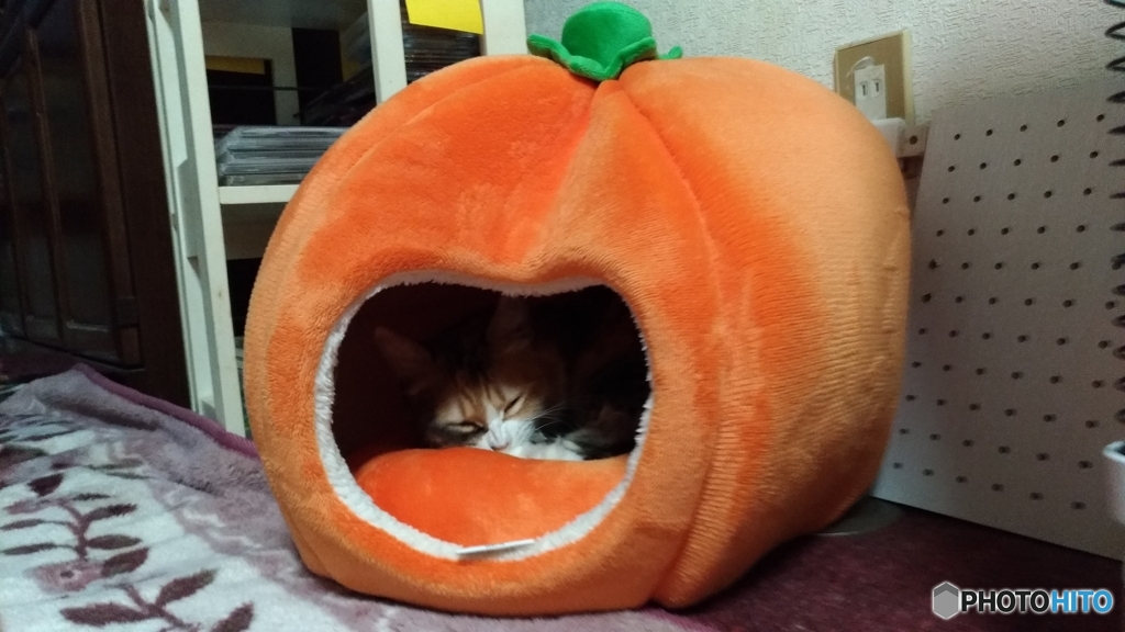 くっそぉ・・・