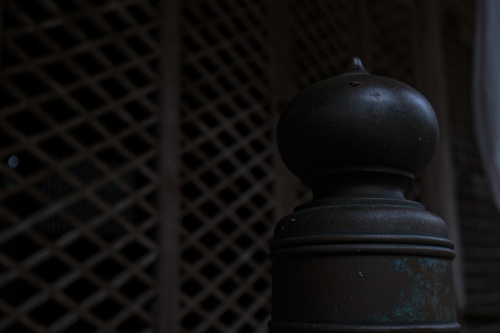 カメラ歴3日です