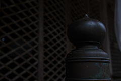 カメラ歴3日です