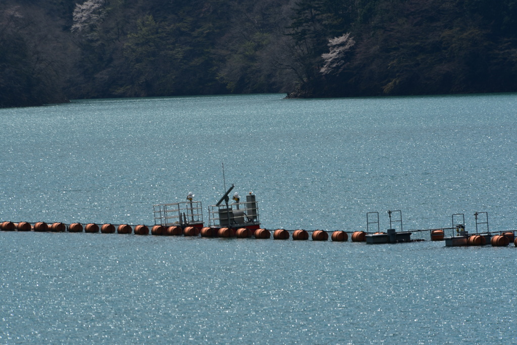 DSC_5998奥多摩湖