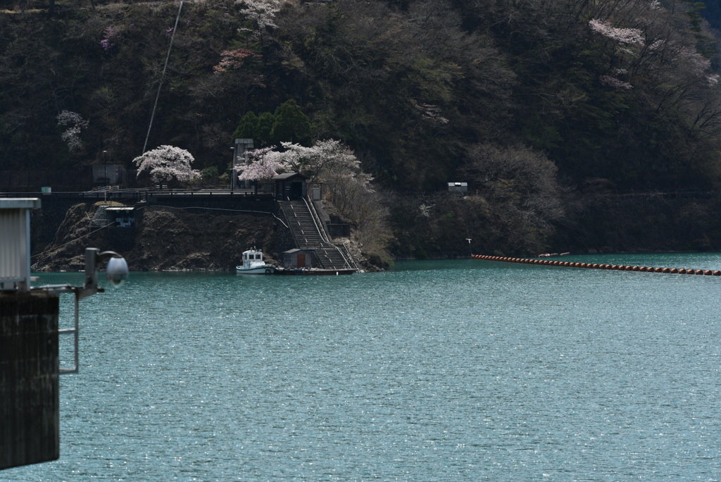 DSC_6003奥多摩湖