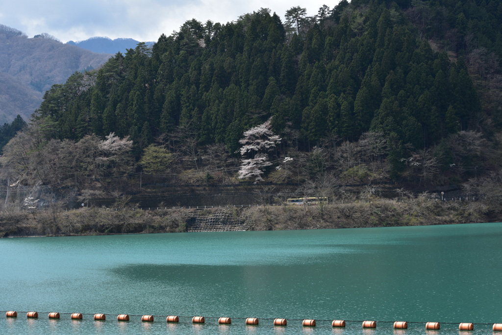 DSC_5995奥多摩湖
