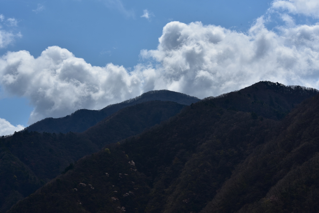 DSC_6001奥多摩湖