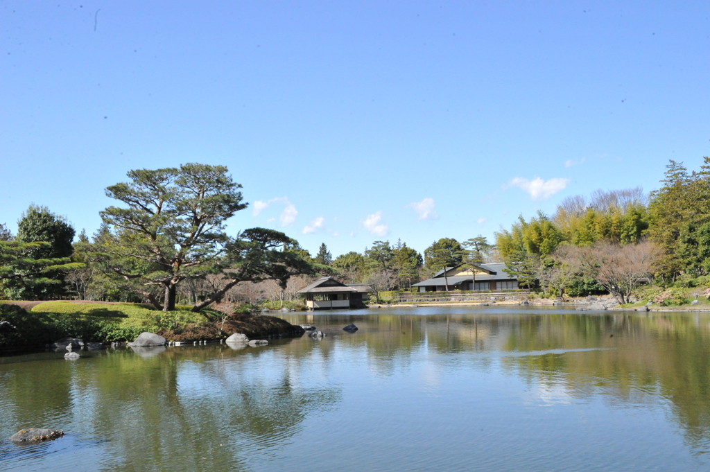 DSC_8348昭和記念公園
