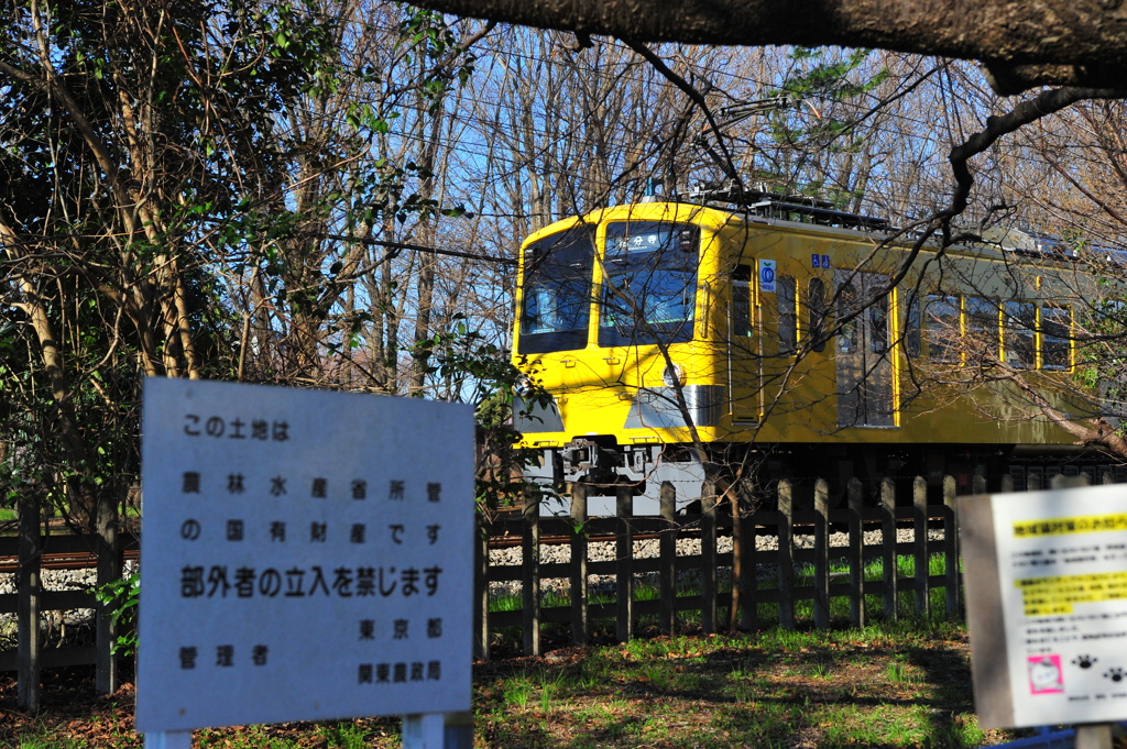 DSC_8923いつもの散歩道　
