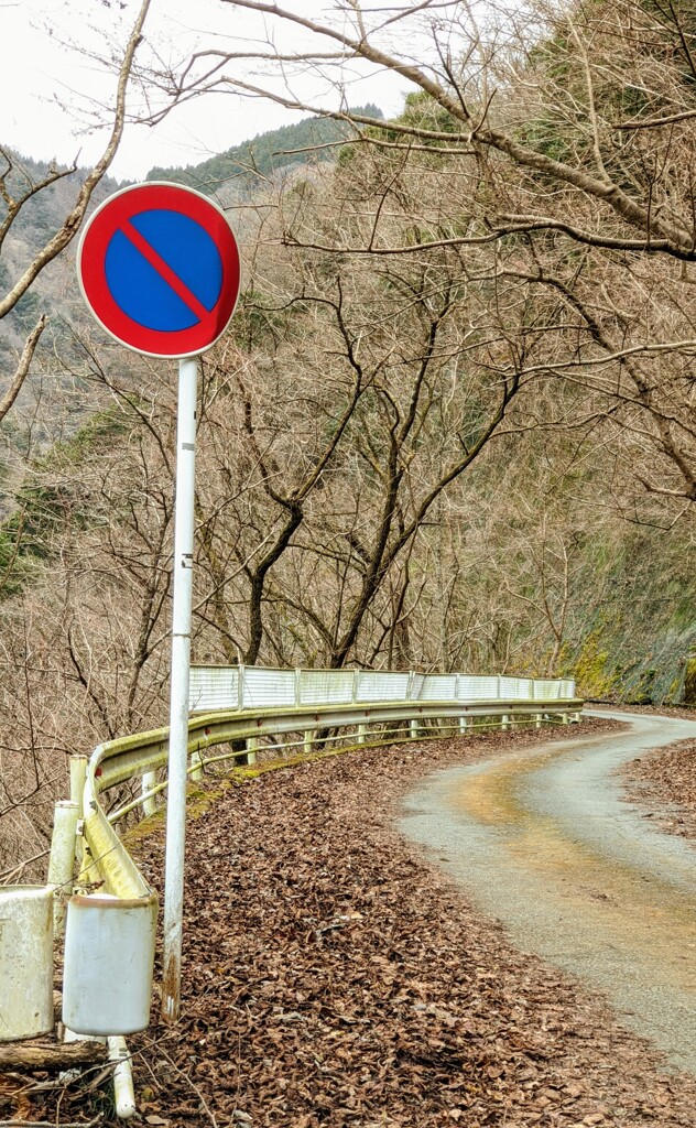 湖へ向かう道