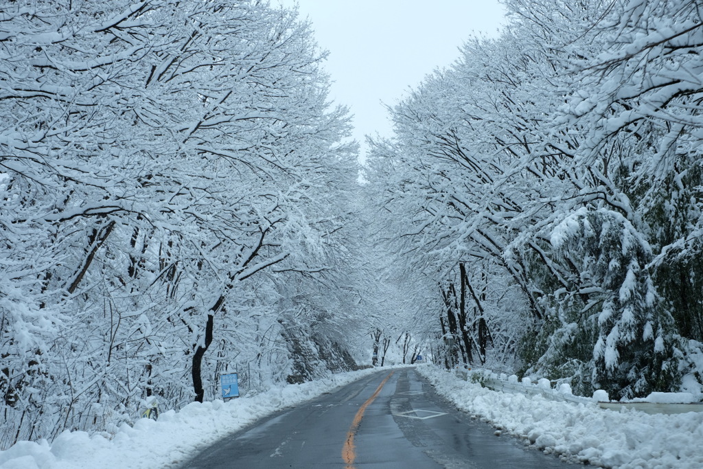 雪のトンネル。