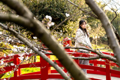 ポートレート 桜 #2