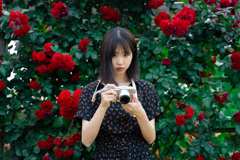 ポートレート 薔薇 #1