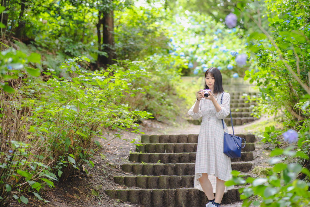 ポートレート 紫陽花#1