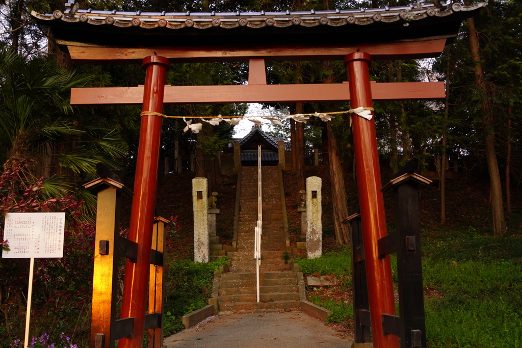 寄り道パシャ