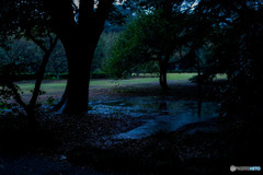 雨園