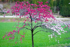 DSC02042