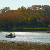 昭和記念公園（秋）