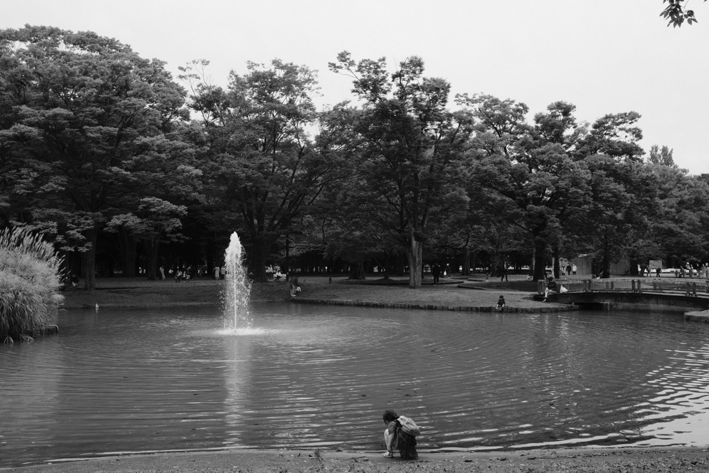 代々木公園