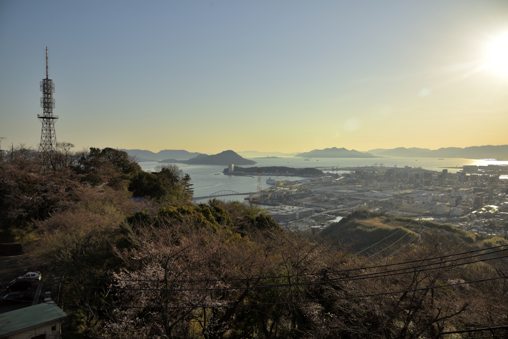黄金山からの眺望