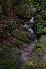 山寺のせせらぎ