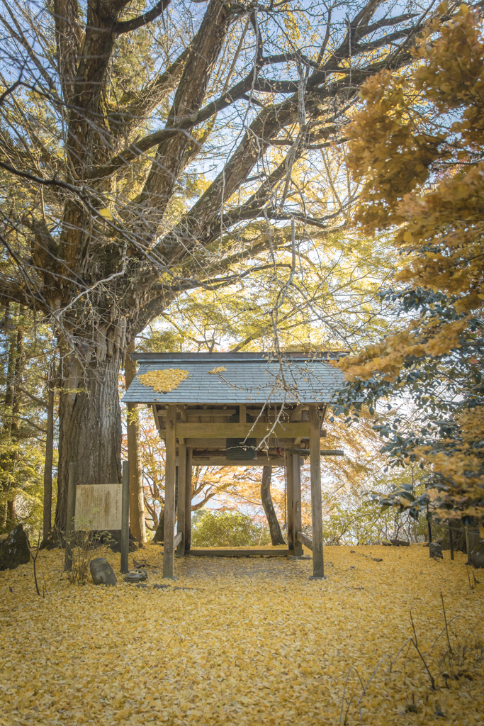 YellowWorld