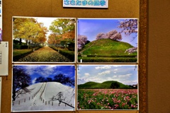 人様の写真で恐縮です・・・（さきたまの四季）