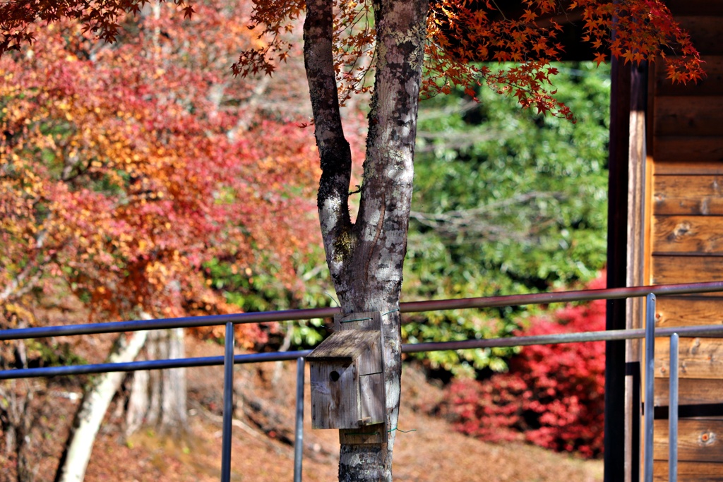 入居者募集中
