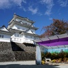 第72回小田原城菊花展開催①