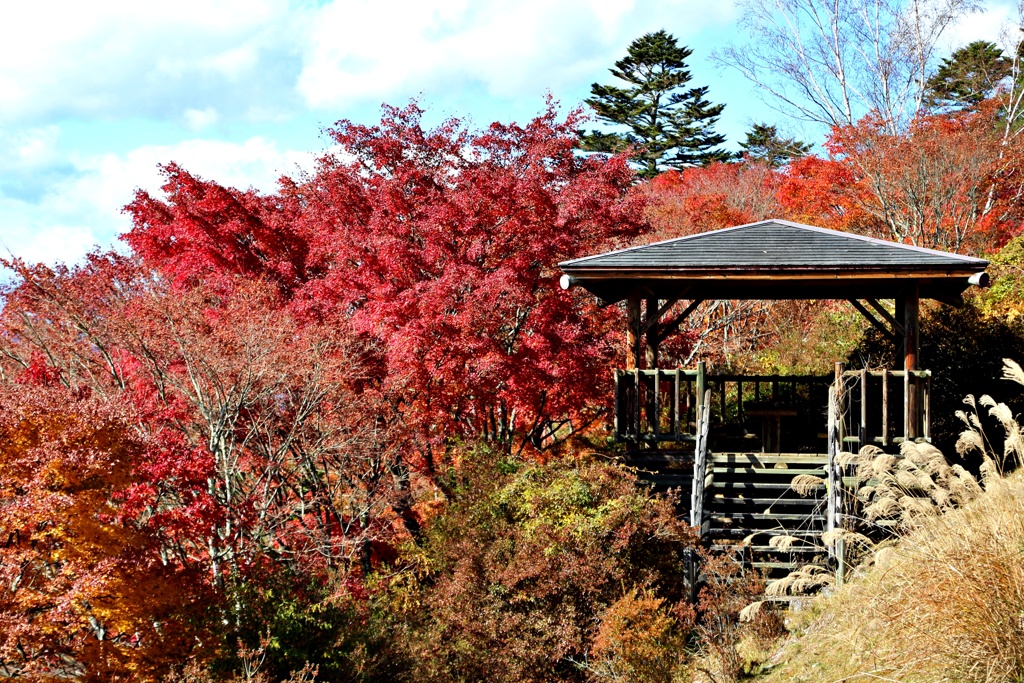 紅葉の中の東屋