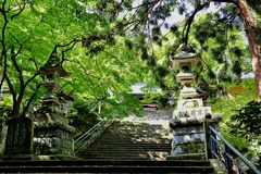 箱根山麓深森散歩：最乗寺瑠璃門