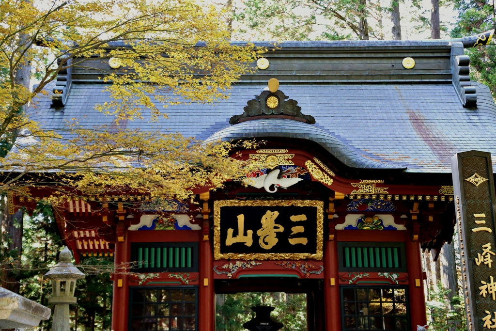 随身門