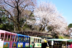 こども遊園地に訪れた早春－１