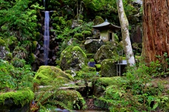 箱根山麓深森散歩:洗心の滝