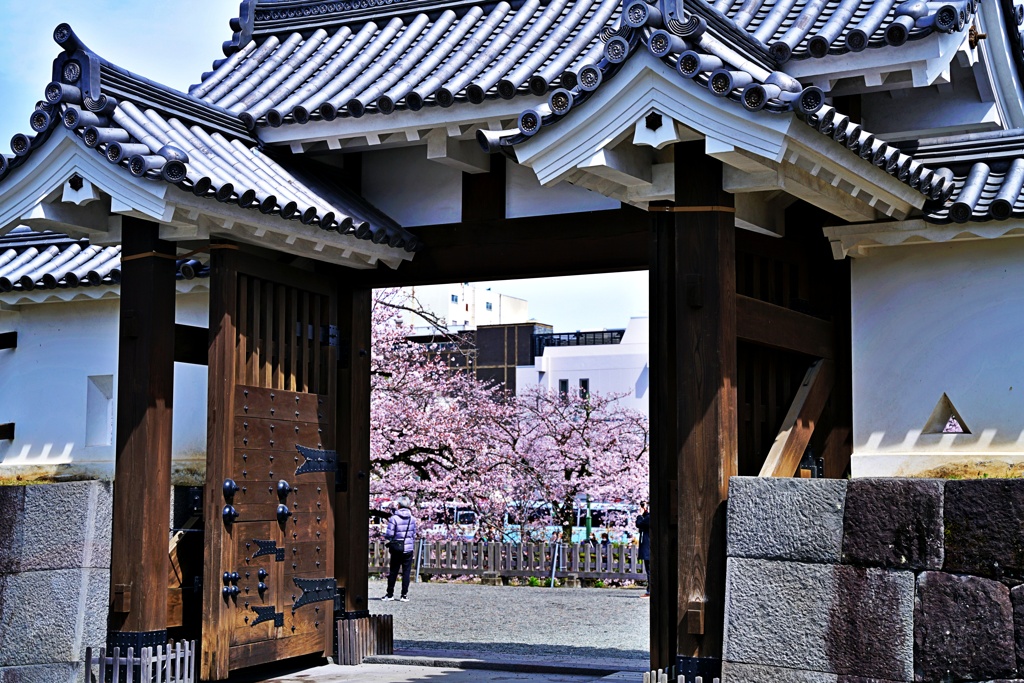 2022年桜まつり⑤