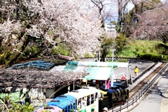 こども遊園地に訪れた早春－２