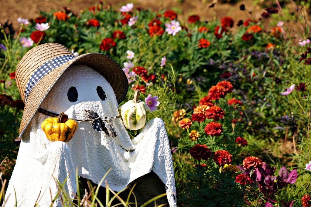 花園のハロウィン