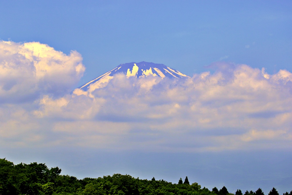 雲間の未練富士
