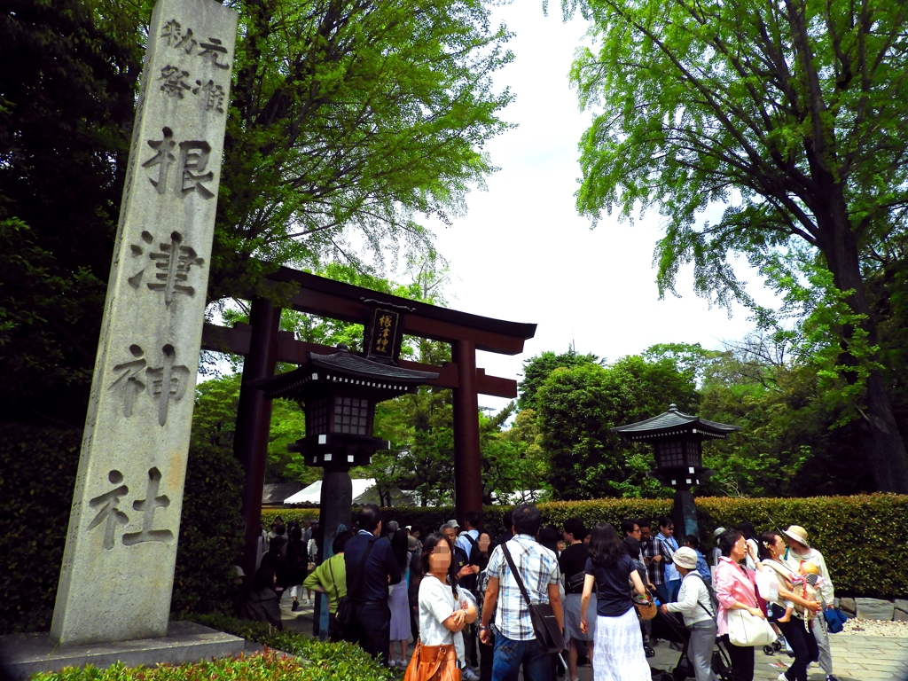 2019年根津神社つつじまつり：鳥居