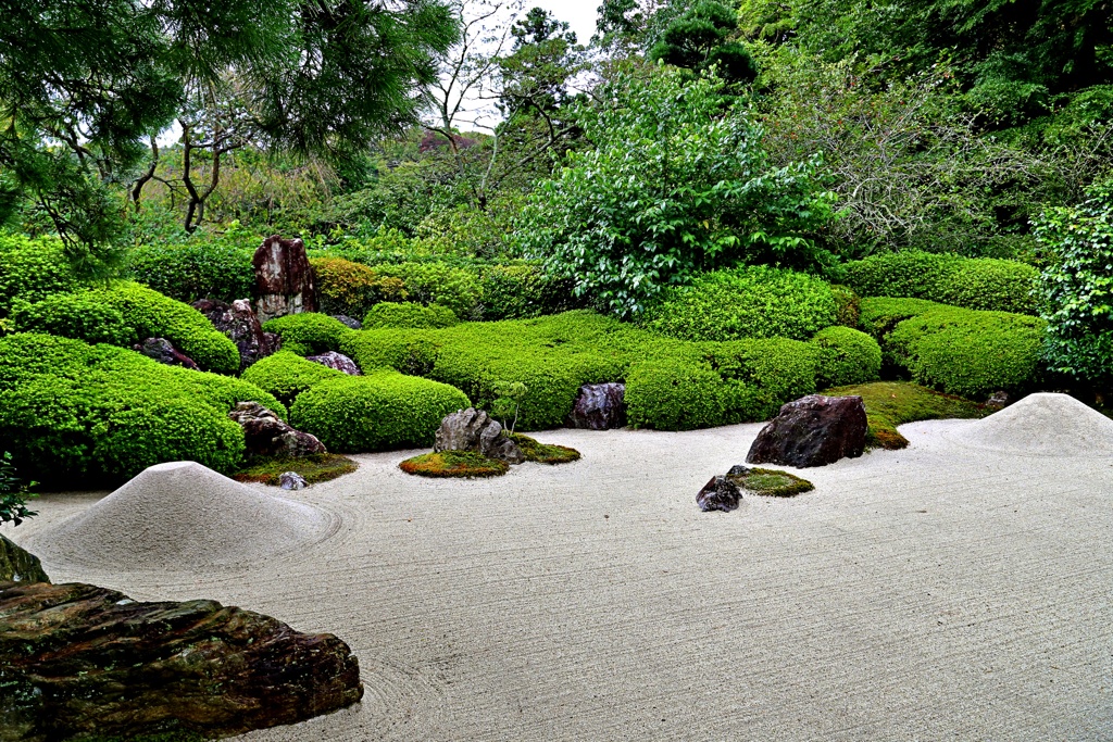 明月院の枯山水庭園