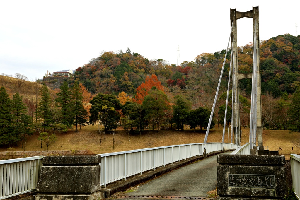 放水路に建つ橋(かながわの橋百選の一つ）