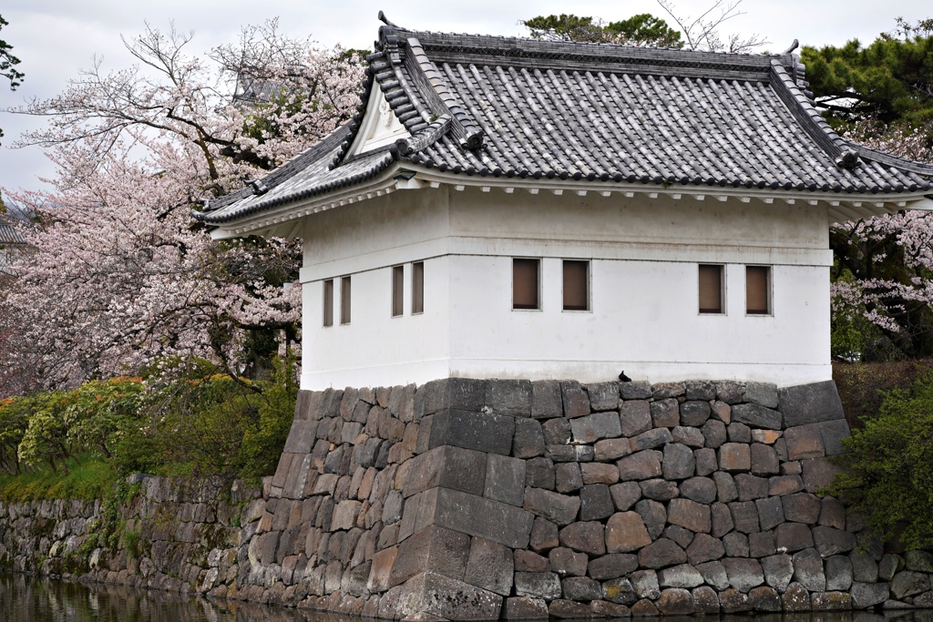 城と桜➁