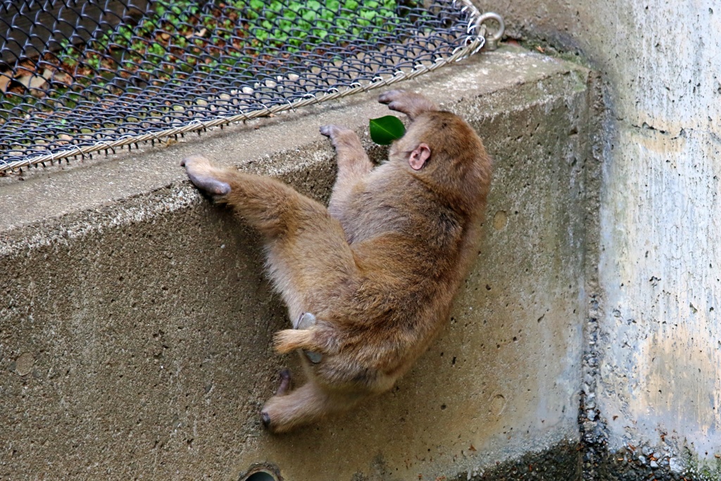 オッとっとと(^^;)