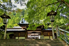 箱根山麓深森散歩：最乗寺瑠璃門