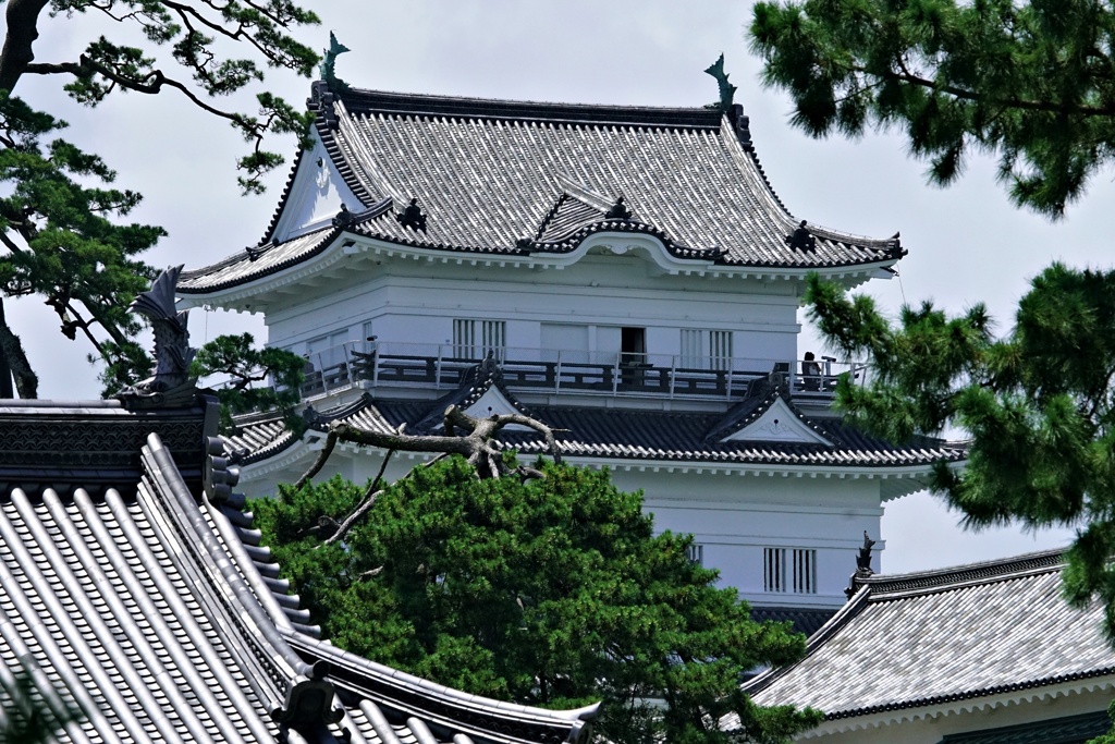 天守閣遠望