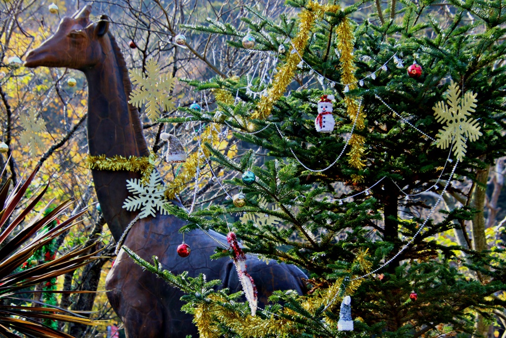 カウントダウンクリスマス：キリン