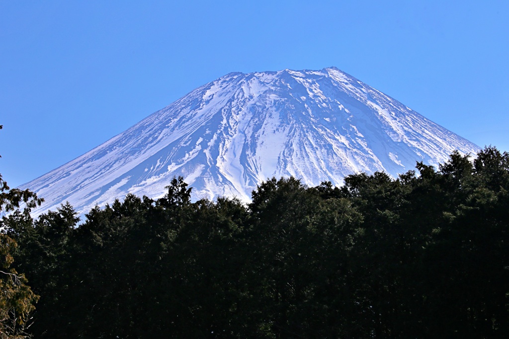 富士花鳥園からの富士山