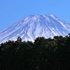 富士花鳥園からの富士山